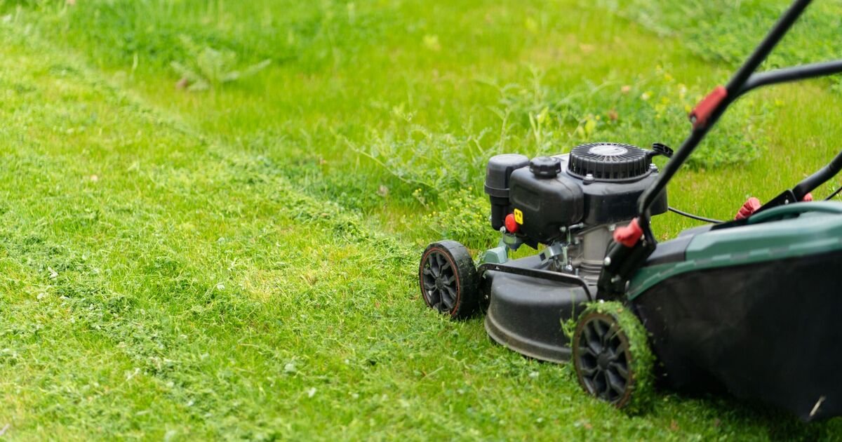 5344860 Outdoor Gardening Services in Bangalore