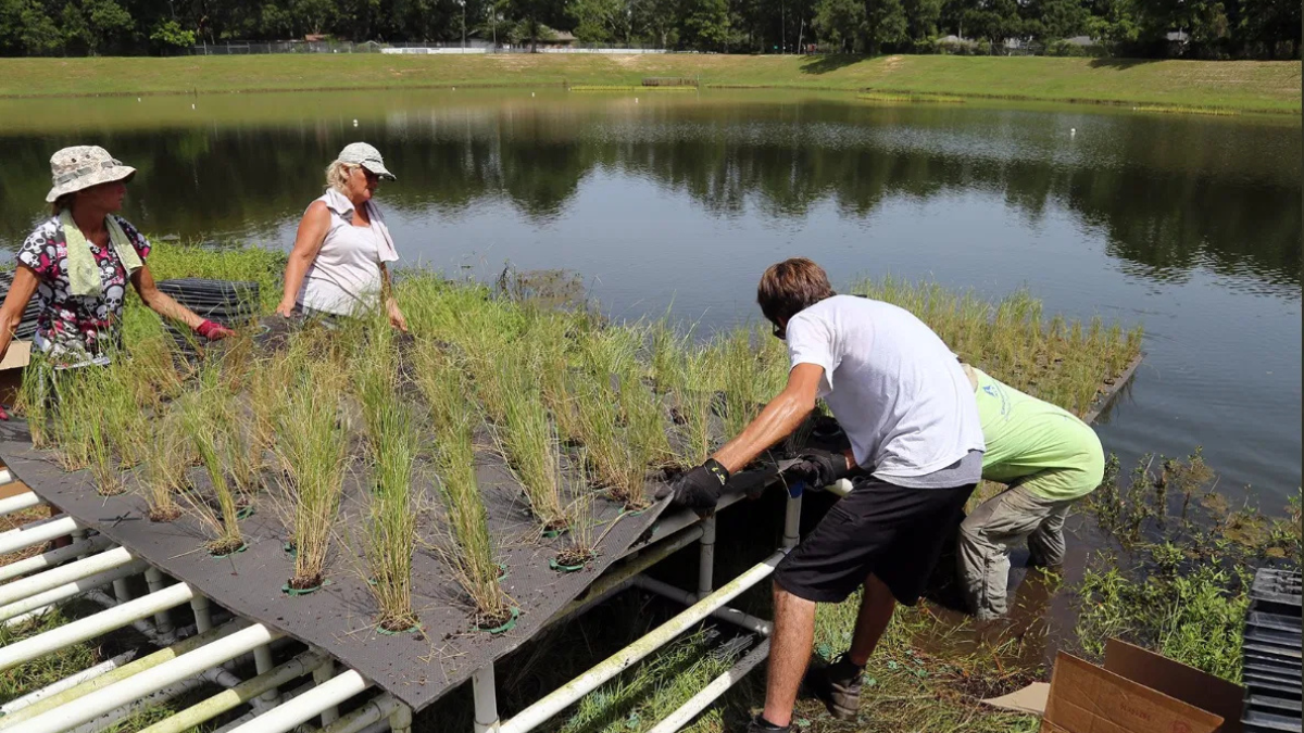 Floating Treatment Wetlands in Bangalore Floating Treatment Wetlands in Bangalore