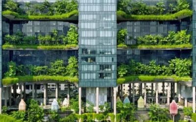 Government Initiatives and Green Building Regulations in India (2025 Update)