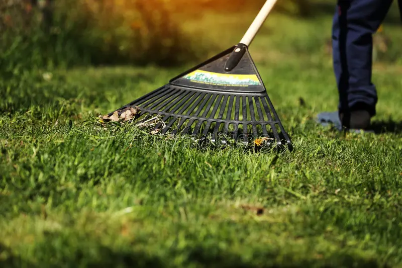 Formal Garden Services in Bangalore<br />
