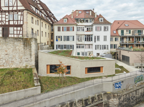 Residential & Commercial Renovation